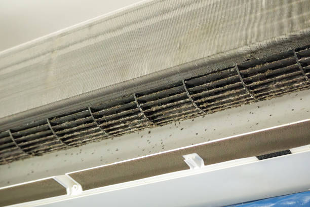 Best Best Air Duct Cleaning Company  in Enoch, UT